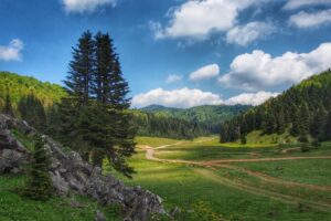 trekking gazinin yeri yuvacik002