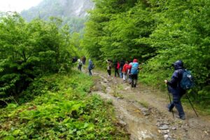 trekking gazinin yeri yuvacik003